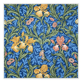 Poster  Iris - William Morris