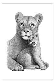 Poster Lioness with her boy
