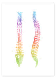 Poster Rainbow spine