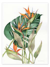 Poster Botanical: Birds of paradise