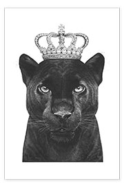 Poster The King panthers