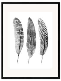 Framed art print  Triple Feathers - SW Clough